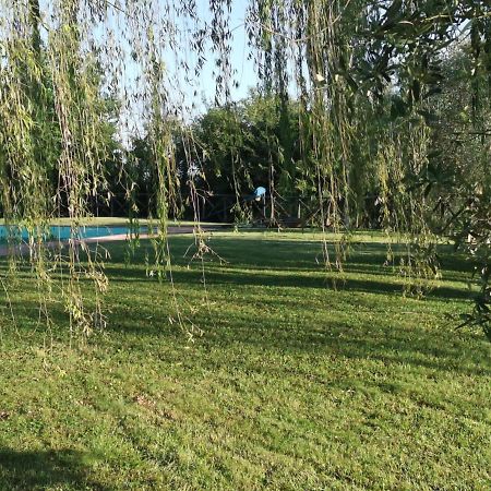 Residenza Il Platano Fortilizio Di Campiglia Rapolano Terme Exterior foto
